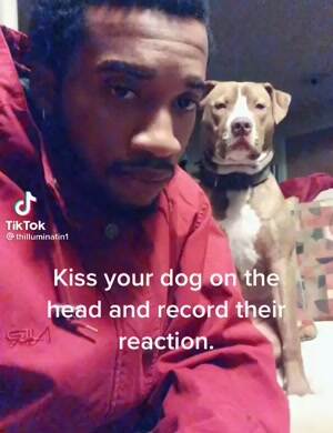 Record their reaction