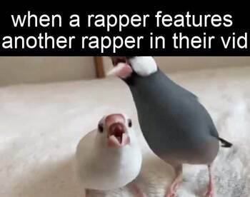 Guest Rapper