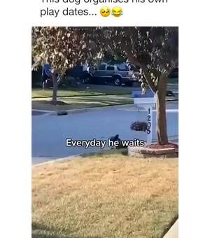 He waits