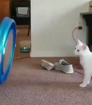 Making me dizzy