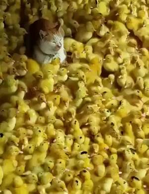 My own personal hell
