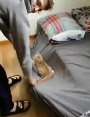 Do it again human