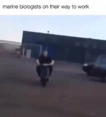 On my way to work