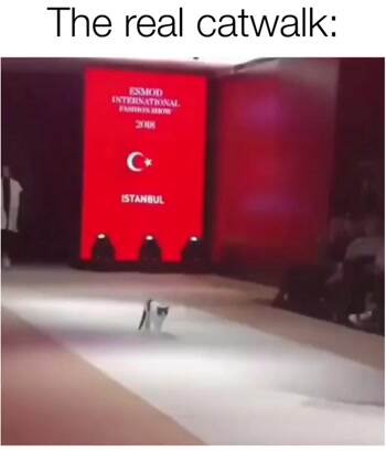 The real catwalk