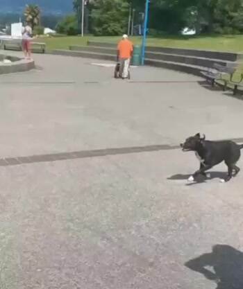 Long Jumping