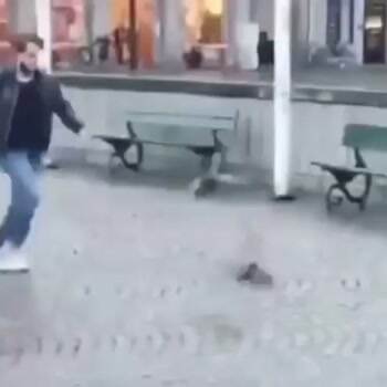 Kicking the pigeons
