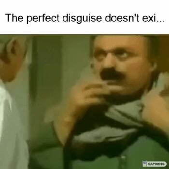 The perfect disguise