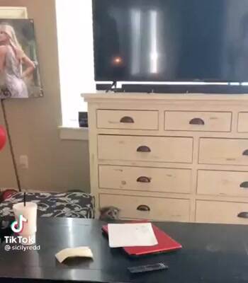 Catching a fly