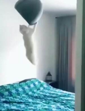 Spin me round and round