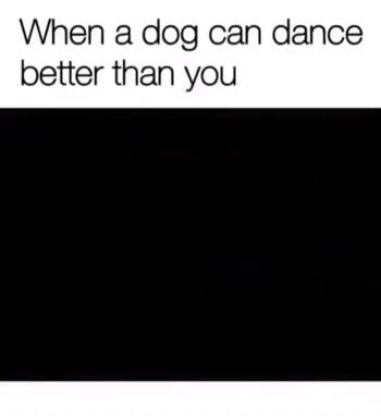 Dog dances better than you do