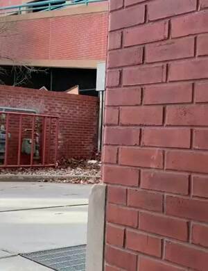 Walls are no match for this girl
