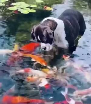 These things are awesome