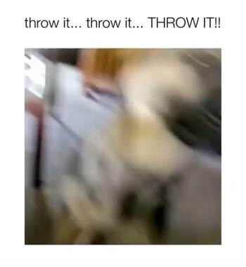 Throw it Throw it