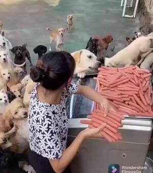 Who wants hot dogs