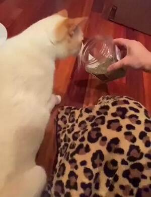Yessssssssss give me more nip