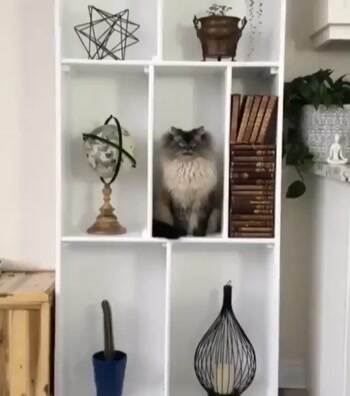 I am always watching