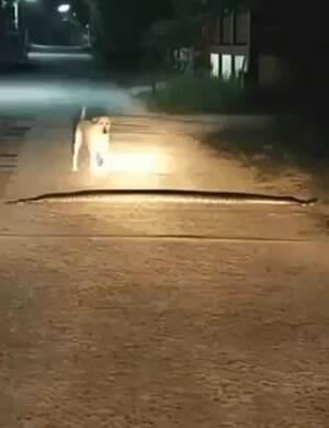 That was not there yesterday