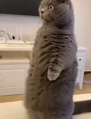 Watching closely