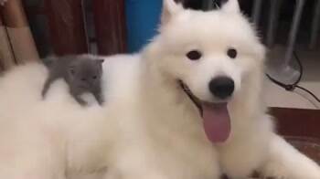 Fun place to hang out