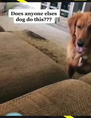 A funny thing to do there