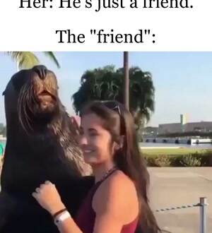 The friend