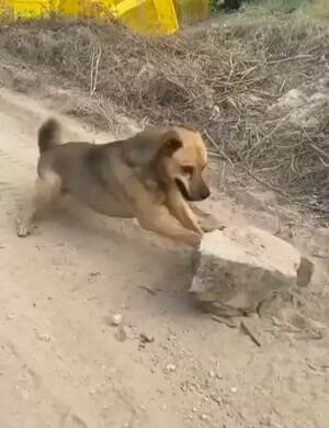 This is a tough business