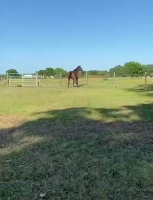 Itchy Butt