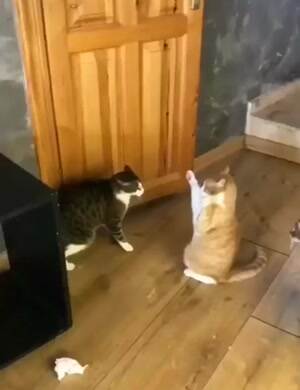 The force is strong in this one