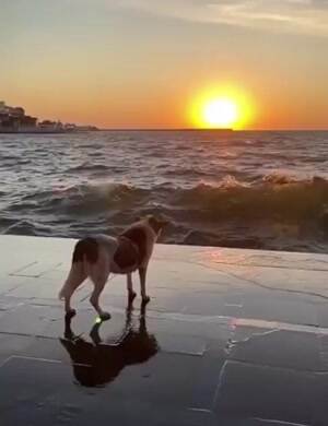 A big splash