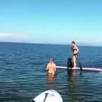 That was not what we expected