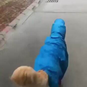Staying Dry out there