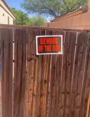 Beware of the dog