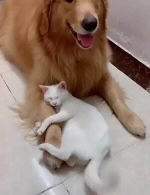 Get away from my pal