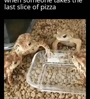 Took the last slice