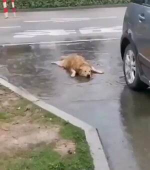 Cooling off in the rain