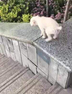 Going for the slide