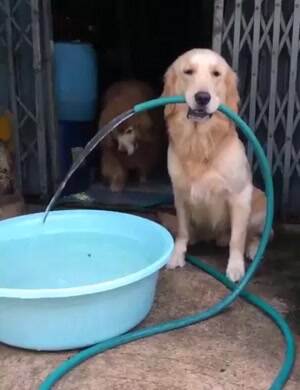 Thanks for cooling me off