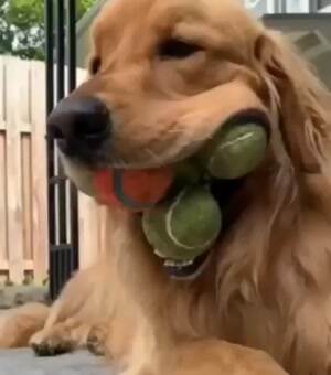 I got all the balls