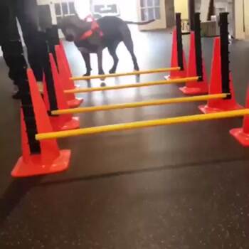 Made it all the way through