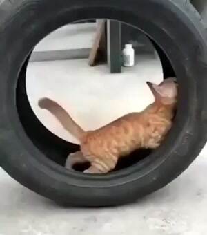 Rolling down the road