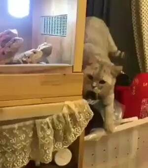 What do we have over here