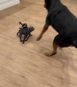 Get away from me you scary spider