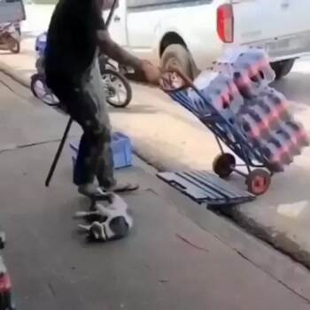 Do you mind buddy