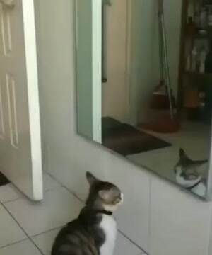 You and me we fight now