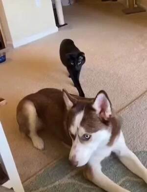 Get over here big guy