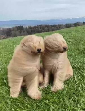 A very windy day