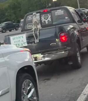 Honk for a treat