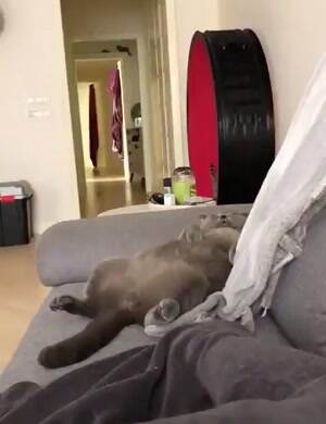 An epic day of sleep