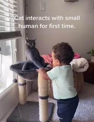Interacting with a human