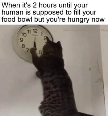 No I want my food right now